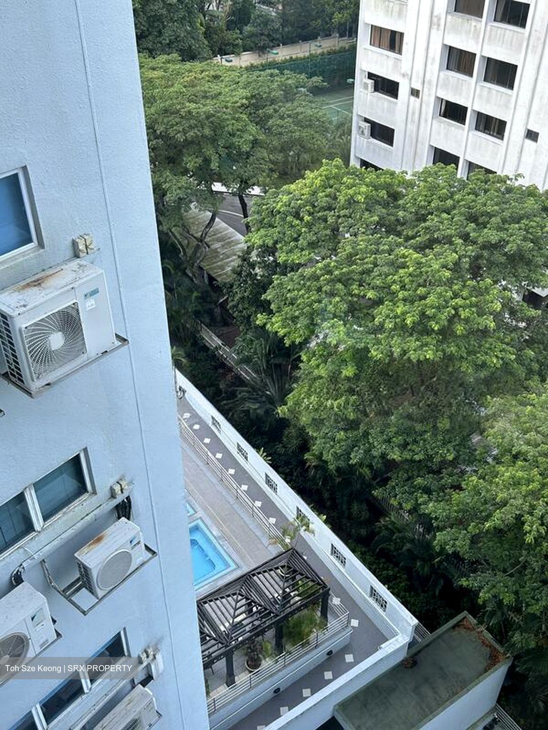 Leedon 2 (D10), Condominium #517968441
